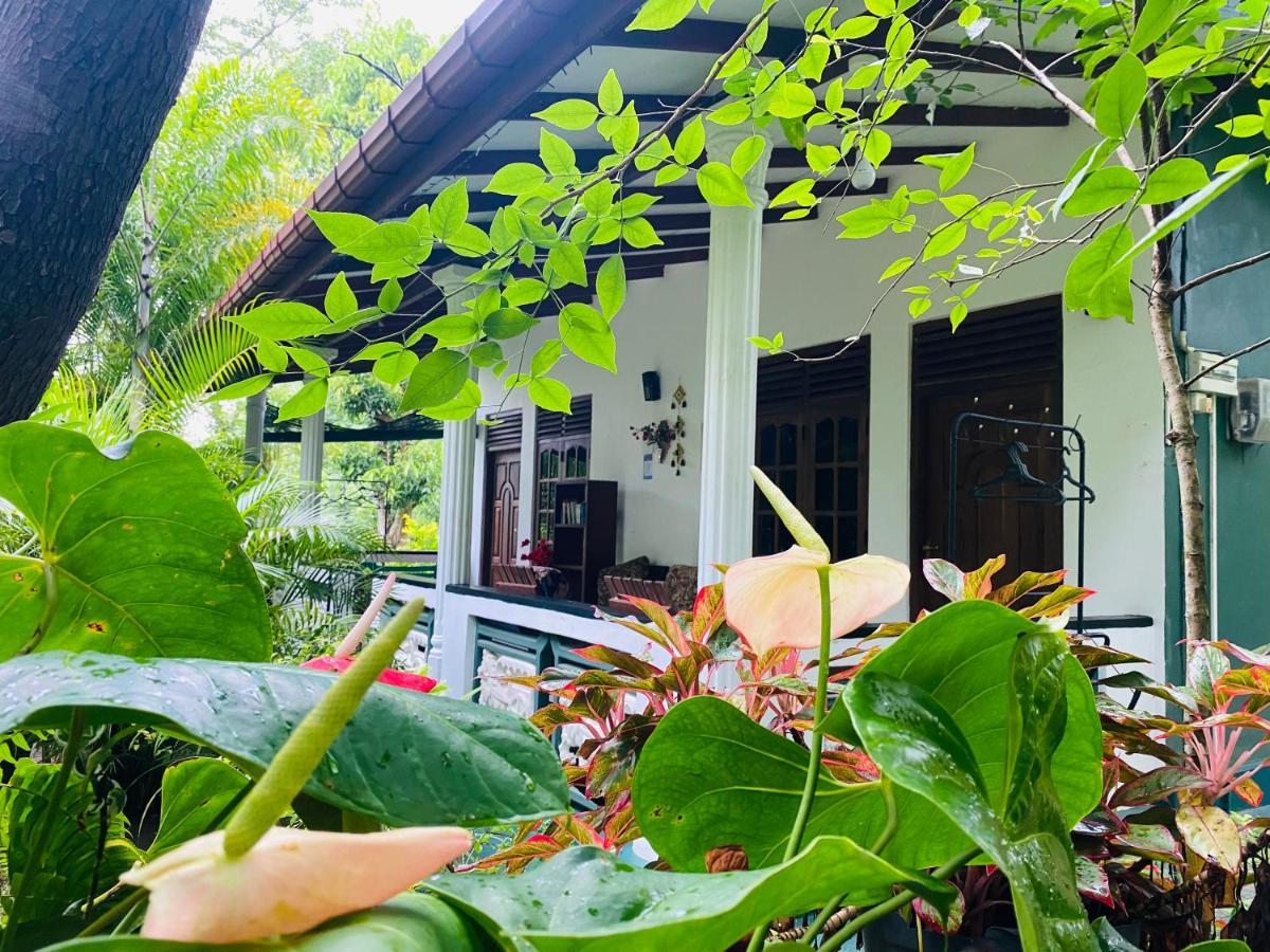 The Jungle Path Lodge Sigiriya Ngoại thất bức ảnh
