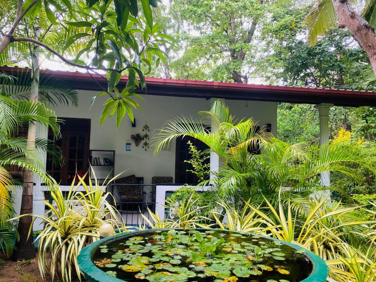 The Jungle Path Lodge Sigiriya Ngoại thất bức ảnh